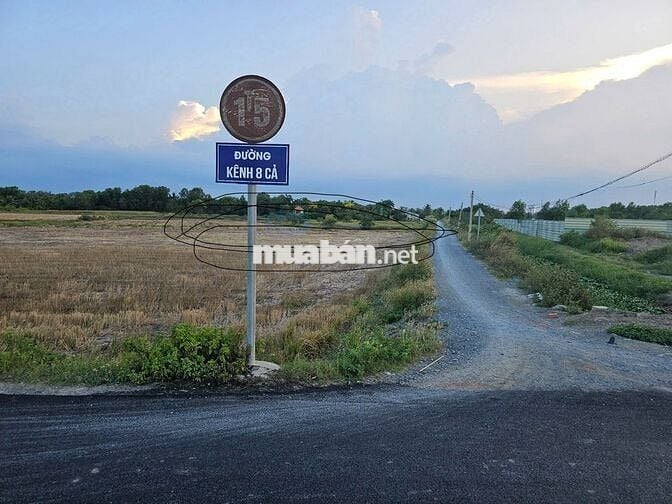 Bán đất trồng cây lâu năm - Đất Đa Năng