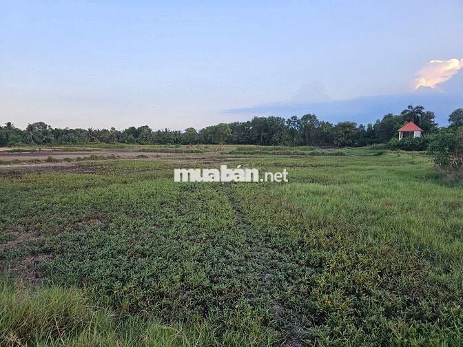 Bán đất trồng cây lâu năm - Đất Đa Năng