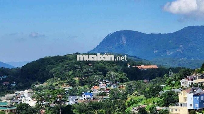 BÁN GẤP ĐẤT HẺM Ô TÔ LỚN HOÀNG HOA THÁM - VIEW THOÁNG ĐẸP ĐÀ LẠT