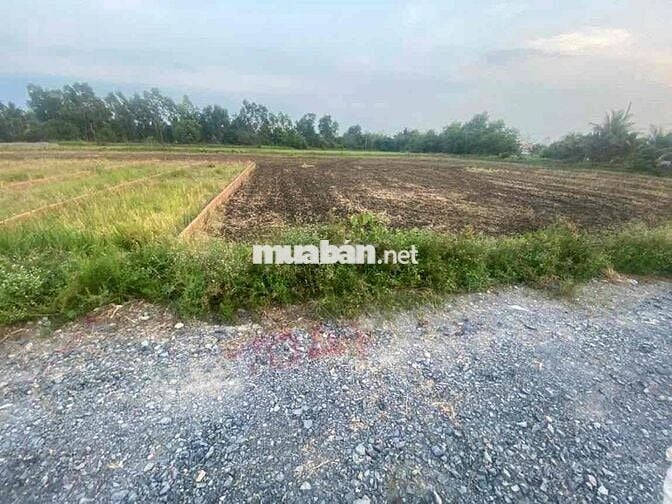 Mình chính chủ bán lô đất 5x25 đường Liên xã - Hựu Thạnh Đức Hoà LA