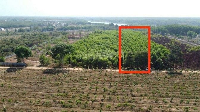 🏡 CHÍNH CHỦ CẦN BÁN ĐẤT LỚN XÃ LỘC AN – LONG THÀNH – ĐỒNG NAI