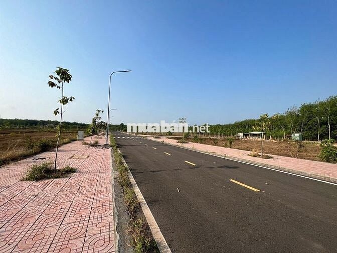 Bán GẤP lô đất ngộp 100m2 ở Đồng Phú – Bình Phước