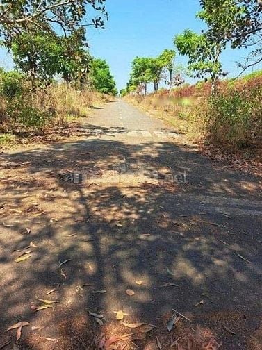 🏡 CHÍNH CHỦ CẦN BÁN ĐẤT LỚN XÃ LỘC AN – LONG THÀNH – ĐỒNG NAI