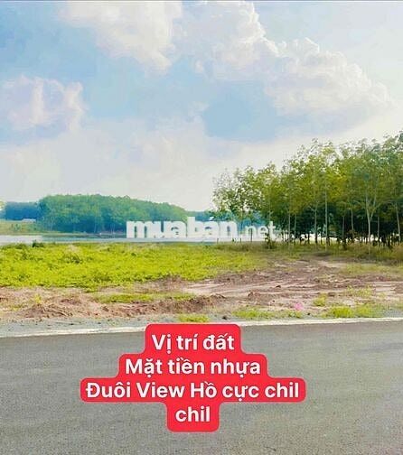 Chính chủ bán lỗ trả nợ bank DT1045m2 14.5x70 ngay TT Chơn Thành