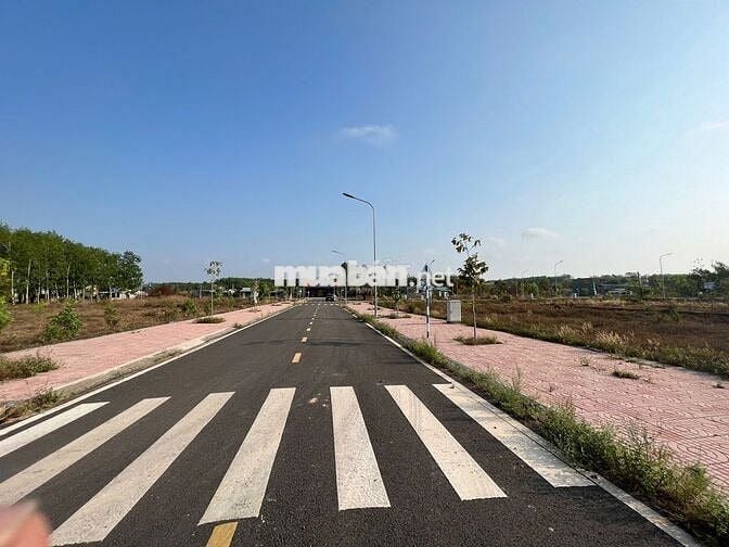 Bán GẤP lô đất ngộp 100m2 ở Đồng Phú – Bình Phước