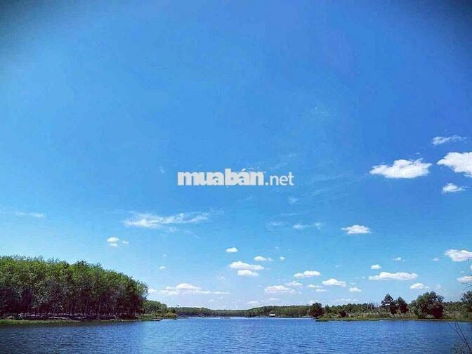 Chính chủ bán lỗ trả nợ bank DT1045m2 14.5x70 ngay TT Chơn Thành