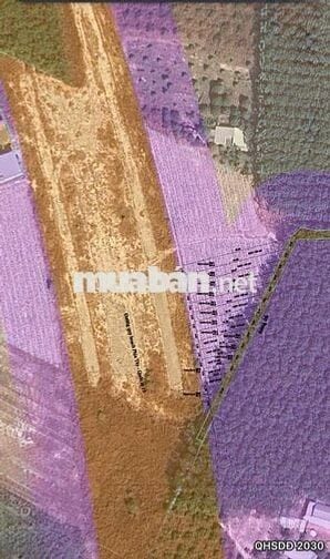 CẮT LỖ - CHÍNH CHỦ BÁN GẤP 3 LÔ ĐẤT PHƯỜNG MINH HƯNG - ĐỒNG NAI ( Bình