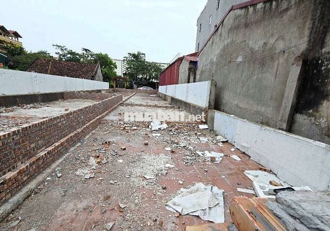 Bán đất thổ cư phố Cổ Linh- đối diện Aeon Long Biên 100m chia 2 lô Bán đất thổ cư phố Cổ Linh- đối diện Aeon Long Biên 100m chia 2 lô