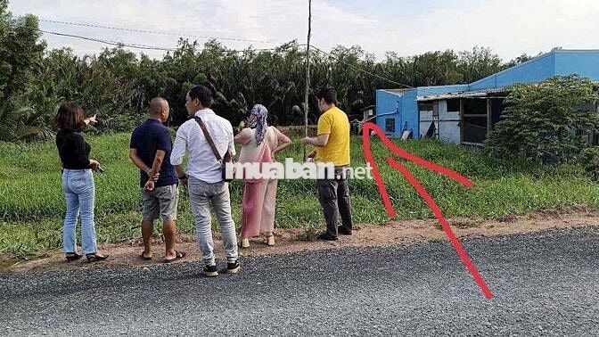 đất chính chủ cần bán, Huyện Tân Phú Đông Tiền Giang