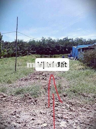 đất chính chủ cần bán, Huyện Tân Phú Đông Tiền Giang