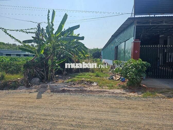 1724m2 đường nhựa, trung tâm Dương Minh Châu. 1,7 tỷ