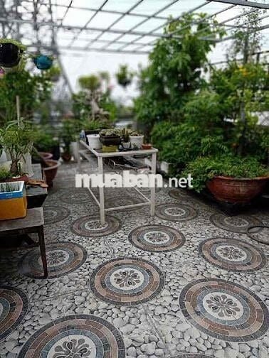 NHÀ SIÊU DIỆN TÍCH 5X27 NGAY TRƯỜNG GIAO THÔNG VẬN TẢI TÔ KÍ GIÁ TỐT