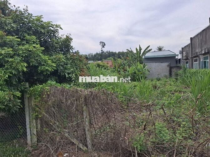 8m mặt tiền đường nhựa thông. Sổ sẵn, có thổ cư. 1,05 tỷ