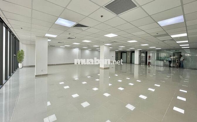 Văn Phòng Mới Đẹp, Đường Phổ Quang, Diện Tích 96m2 ~ 386m2 Giá 32,8tr