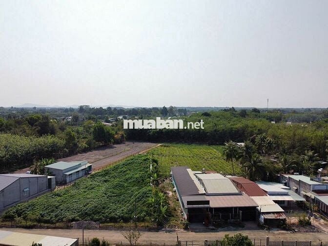 1724m2 đường nhựa, trung tâm Dương Minh Châu. 1,7 tỷ