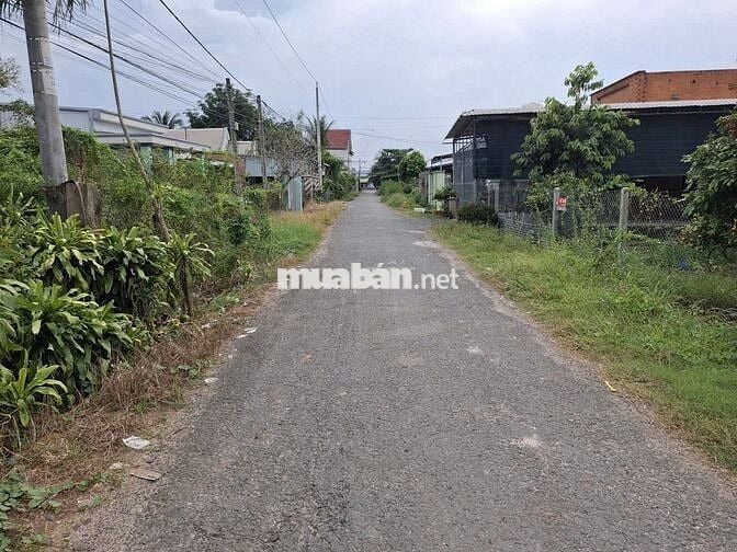 8m mặt tiền đường nhựa thông. Sổ sẵn, có thổ cư. 1,05 tỷ