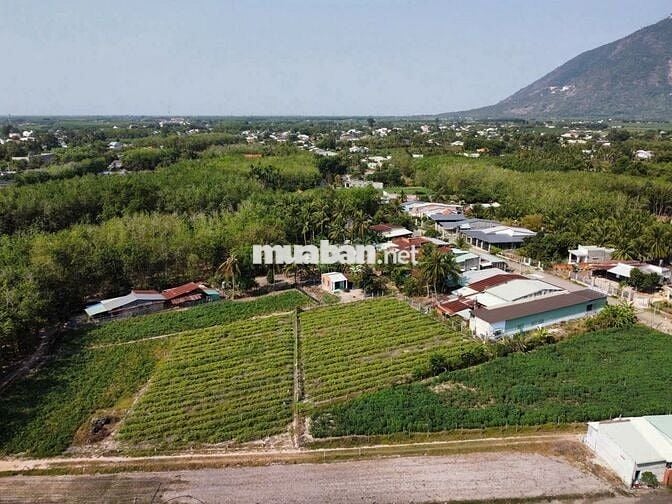 1724m2 đường nhựa, trung tâm Dương Minh Châu. 1,7 tỷ