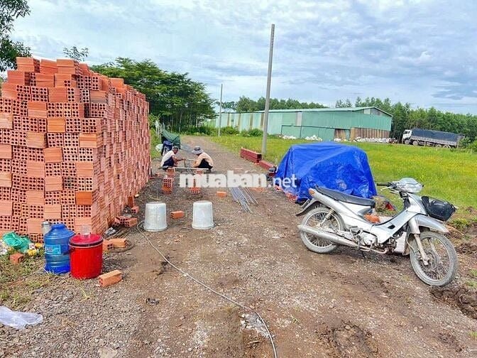 Lô đất 100m2 gần xã An Viễn cần bán gấp giá 700 triệu/nền SHR