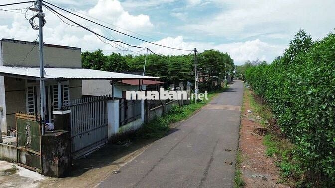 Lô đất 100m2 gần xã An Viễn cần bán gấp giá 700 triệu/nền SHR