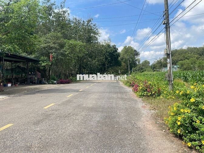 Bán đất thổ vườn mặt tiền DH, Cách UB Phước Thành chưa tới 1km.