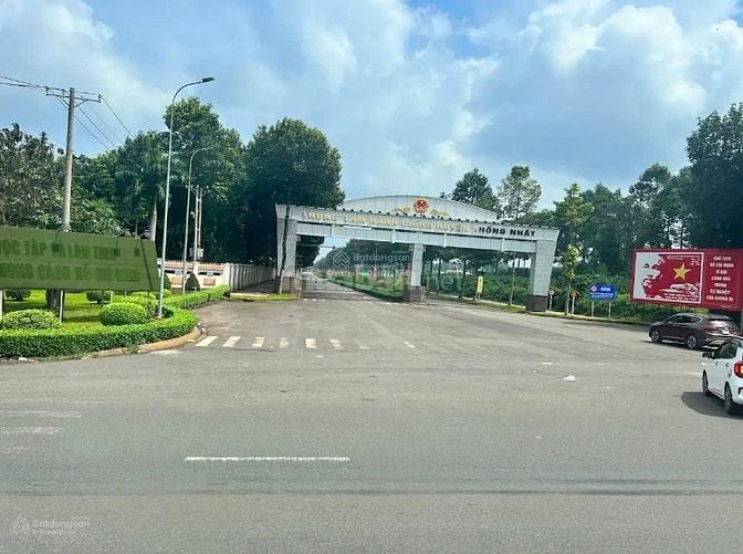 Đất sổ đỏ Chợ Đầu mối Dầu Giây, mặt tiền QL20 tiện kd, 679tr/nền