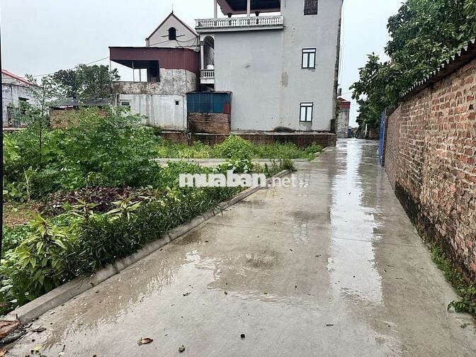 DIỆN TÍCH ĐẸP - PHÂN LÔ - Ô TÔ VÀO TẬN ĐẤT - VỊ TRÍ VÀNG - FULL THỔ CƯ DIỆN TÍCH ĐẸP - PHÂN LÔ - Ô TÔ VÀO TẬN ĐẤT - VỊ TRÍ VÀNG - FULL THỔ CƯ