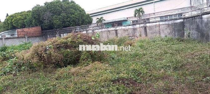 Đất SKC + ODT Kho Xưởng Đ. Xe Tải Gần Quốc Lộ 13, P. Thuận Giao HCM