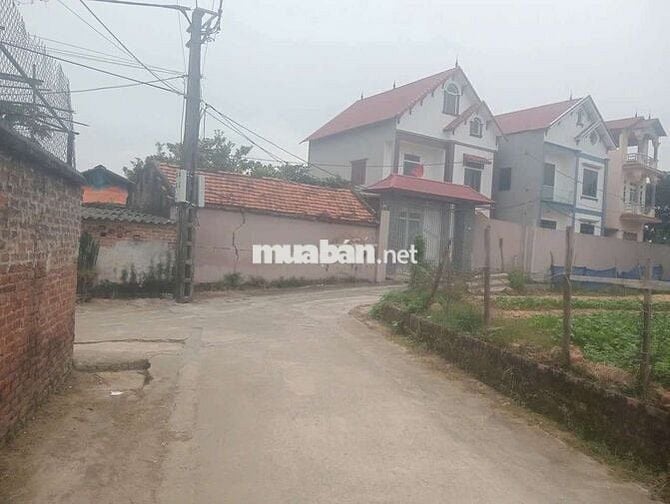 DIỆN TÍCH ĐẸP - PHÂN LÔ - Ô TÔ VÀO TẬN ĐẤT - VỊ TRÍ VÀNG - FULL THỔ CƯ DIỆN TÍCH ĐẸP - PHÂN LÔ - Ô TÔ VÀO TẬN ĐẤT - VỊ TRÍ VÀNG - FULL THỔ CƯ