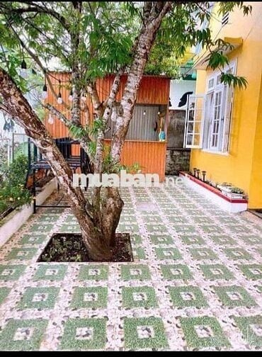 Cho thuê villa có vườn đào cổ gần ga Đà Lạt giá 13tr, mặt Đường