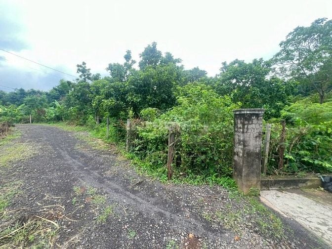 Công ty Đấu giá hợp danh Lam Sơn Sài Gòn THÔNG BÁO ĐẤU GIÁ TÀI SẢN