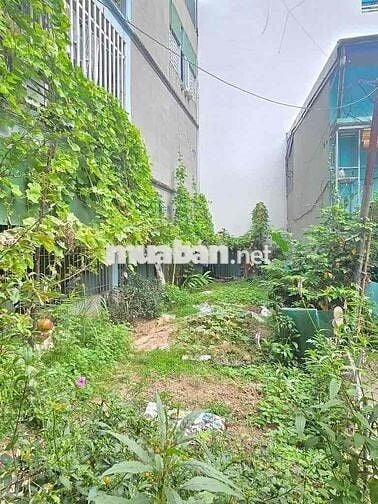 Bán Đất Lô Góc Siêu Đẹp Phố Thượng Thanh 58M chỉ 6,x tỷ