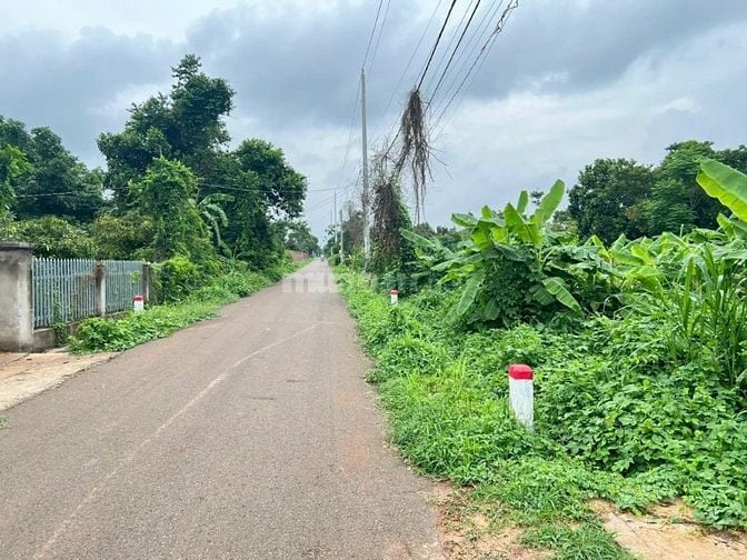 Công ty Đấu giá hợp danh Lam Sơn Sài Gòn THÔNG BÁO ĐẤU GIÁ TÀI SẢN