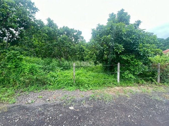 Công ty Đấu giá hợp danh Lam Sơn Sài Gòn THÔNG BÁO ĐẤU GIÁ TÀI SẢN