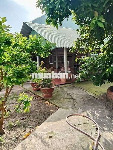 Lô đất đẹp 750m2 Thổ cư 1/ Hẻm 8m thông Trần Thị Hè ( HT42)