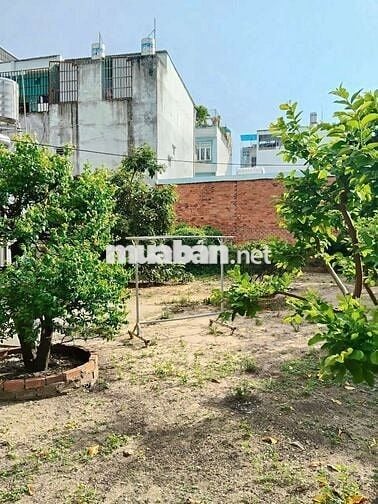 Lô đất đẹp 750m2 Thổ cư 1/ Hẻm 8m thông Trần Thị Hè ( HT42)