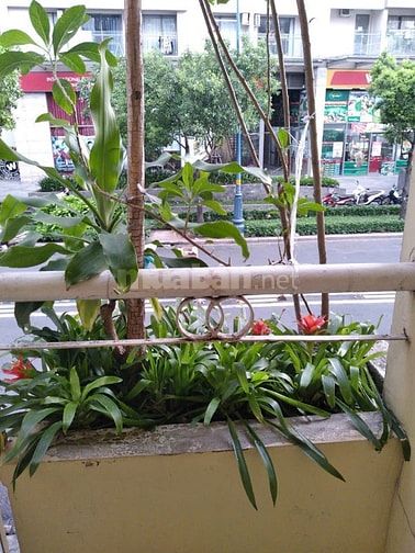 HH 1% MTKD Nguyễn Hữu Hào P9 Q4 44m2 không QH giải tỏa