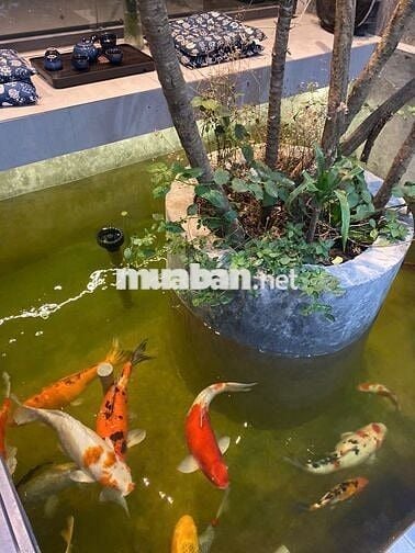 Nhà phố trệt lầu sân thượng. Có 3Pn. Ngay ub xã Phước Kiển (Cũ). SHR