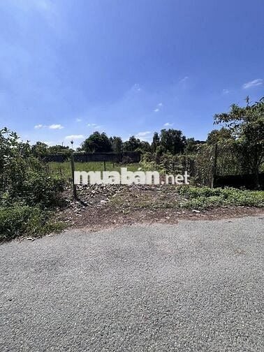 BÁN ĐẤT FULL THỔ HƯƠNG LỘ 2 TÂN AN HỘI - SHR