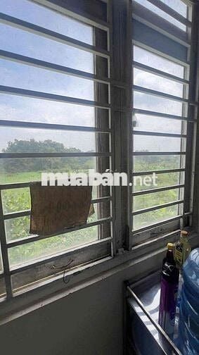 Tìm 1 nữ ở ghép CS2, trọ cách trường đh luật 600m