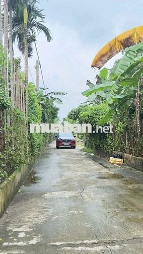 BÁN ĐẤT BÌNH NHÂM 30 ,GẦN CHỢ ,TRƯỜNG HOC ,LÁI TJIÊU  TP HCM