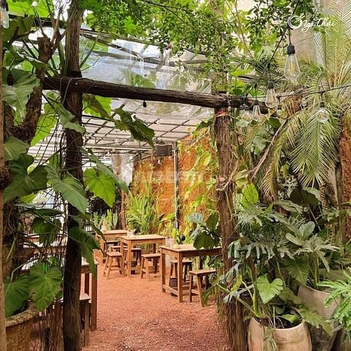 QUÁN ĂN NGÕ THÁI BÌNH THẠNH TUYỂN 3 NHÂN VIÊN PHỤC VỤ 