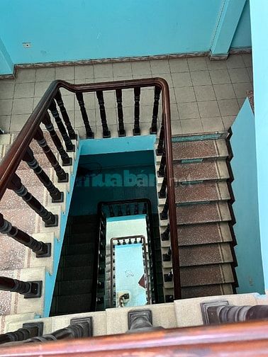 Cho thuê  86 nguyễn vĩnh Bảo ,bán Shop house tại 31.P101. Mạc thái Tổ 