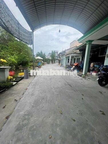 Nhà cấp 4 2/Trần Thị Bốc-Thới Tam Thôn-Hóc Môn.Dt 7,1x22~155m2~5,9ty