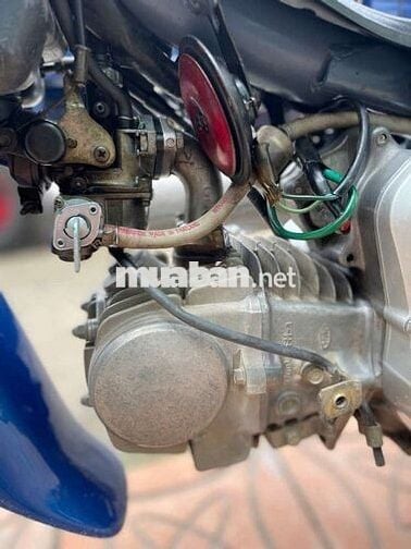 Wave anpha 2004 dọn kiểng mới Cần Thơ bs 2002