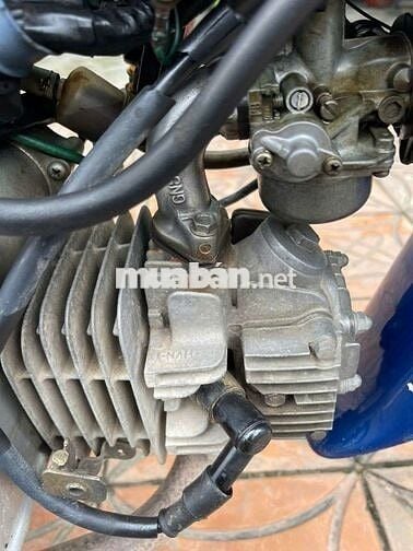 Wave anpha 2004 dọn kiểng mới Cần Thơ bs 2002