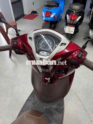 Lead 4 val rin chuẩn lướt Hồ sơ cầm tay sẵn