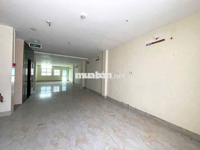 Cho Thuê Nhà Đường Trần Bình Trọng, Quận 5 ( Thang Máy - PCCC Đủ )