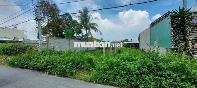 ĐẤT FULL THỔ CHỢ LỘC HƯNG, 150m2, 620tr, đường DT 787, SHR, Xây tự do