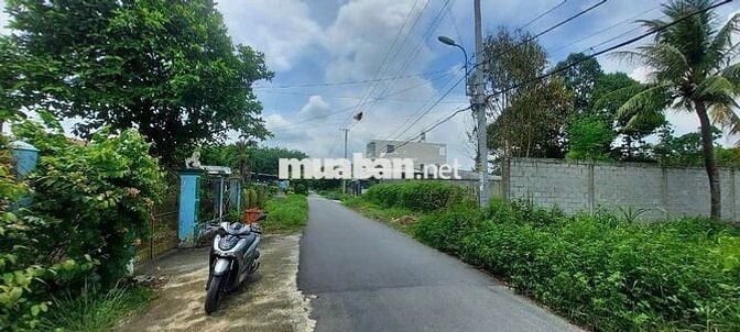 ĐẤT FULL THỔ CHỢ LỘC HƯNG, 150m2, 620tr, đường DT 787, SHR, Xây tự do