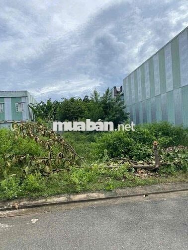 Bán Đất Giá Rẻ Đ.Thạnh Xuân 17 , Quận 12 Sổ Hồng Riêng 80m2